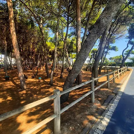 Mare Int C - Myho Casa Apartment *